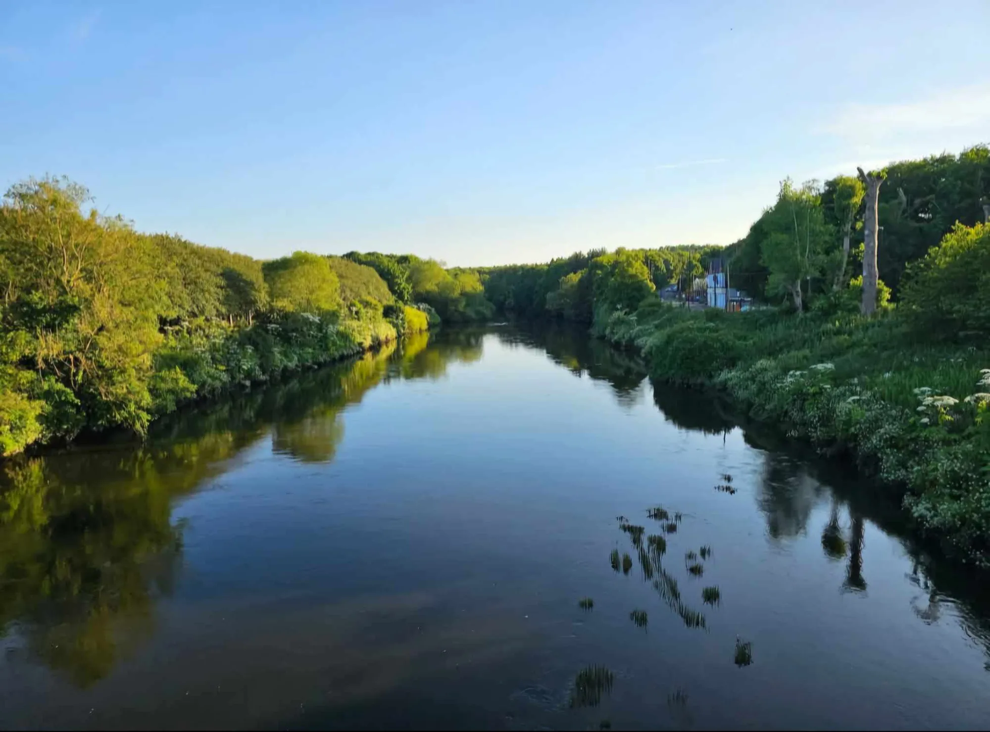 River Bank River Views 